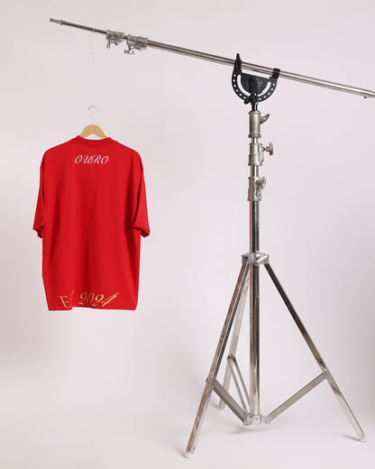 Don't be a Jaywalker T-Shirt